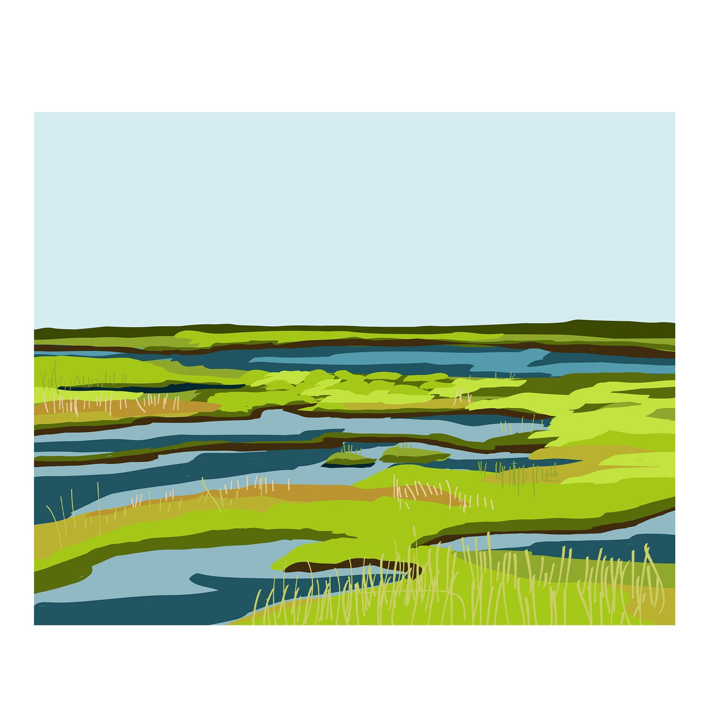 Green Marsh- Newbury, MA