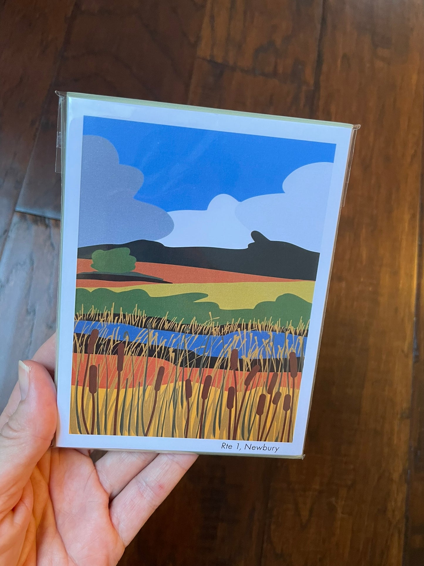 North Shore 4 Pack! Series 2