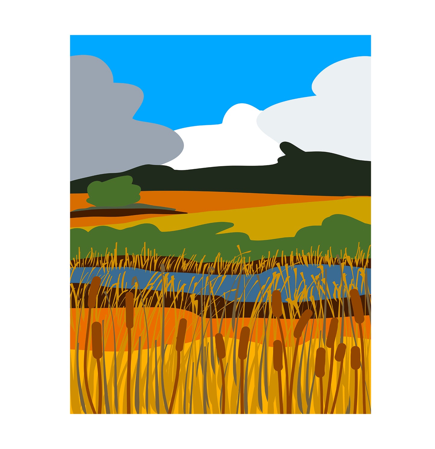 Parker River Marsh 2