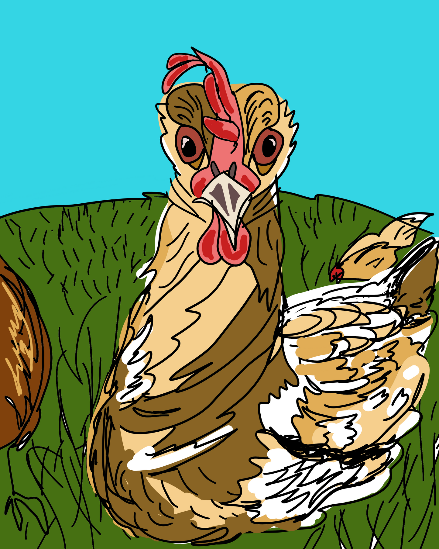 Momo the Chicken