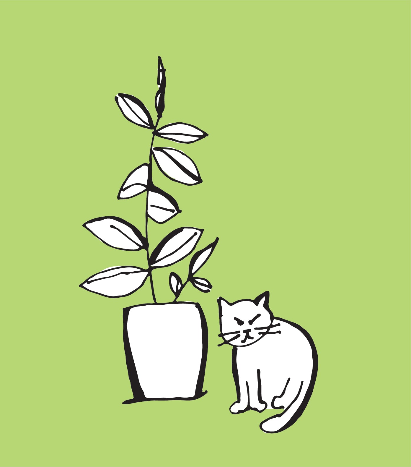 Grump Cat and the Rubber Plant