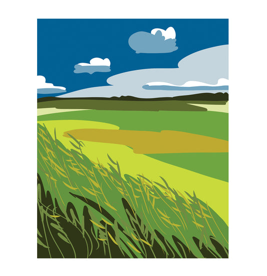 Plum Island Marsh- Note Card