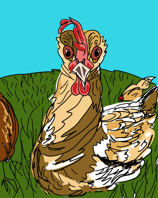 Momo the Chicken