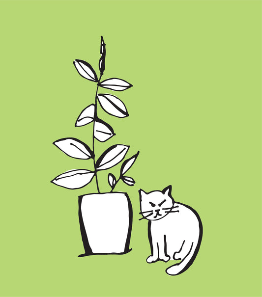 Grump Cat and the Rubber Plant