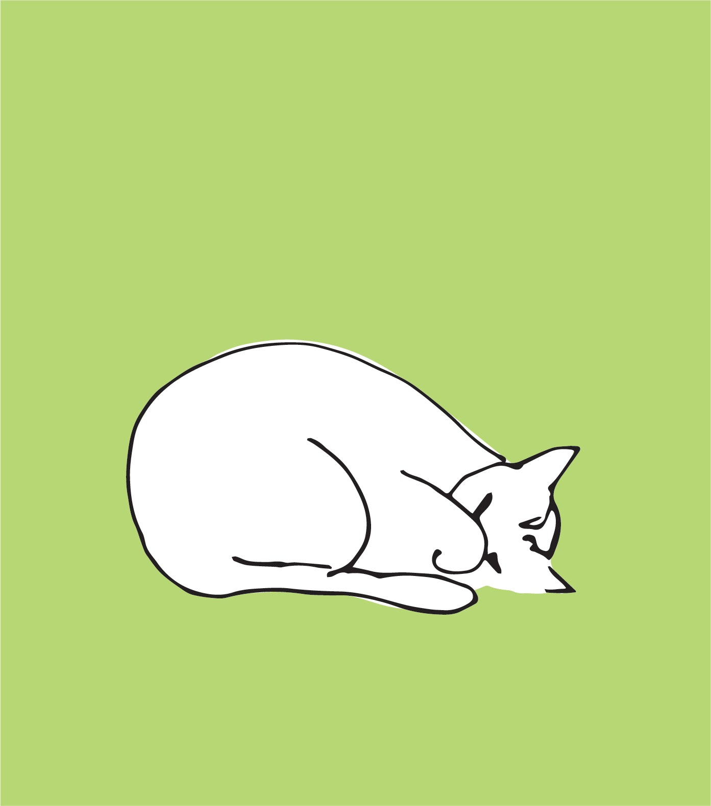 Napping Grump Cat